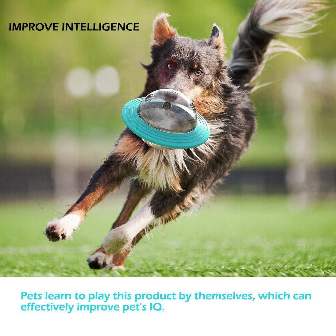 Interactive Pet Treat Dispenser Ball